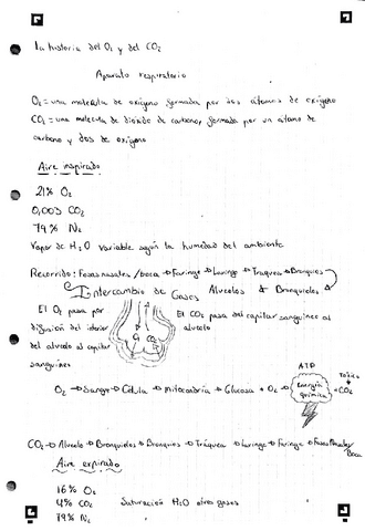 aparato-respiratorio.pdf