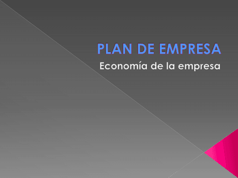 PLA D'EMPRESA.pdf