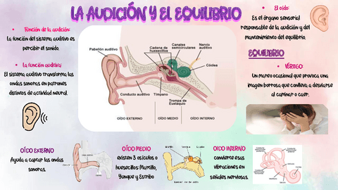 INFOGRAFIA.pdf