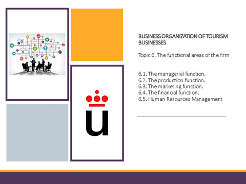 Topic-6-The-functional-areas-of-the-firm-Operations-Finance-and-Marketing-Business-Organizarion-of-Tourism-2022.pdf