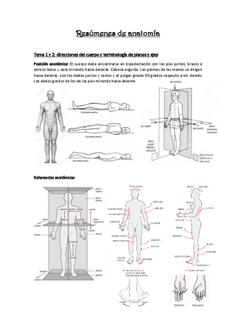 Resumenes-de-anatomia-parte-1.pdf