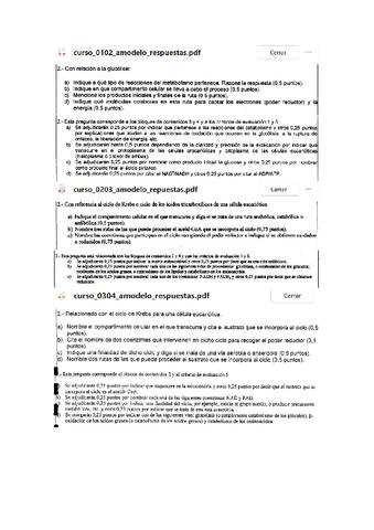 Actividades-T12.pdf