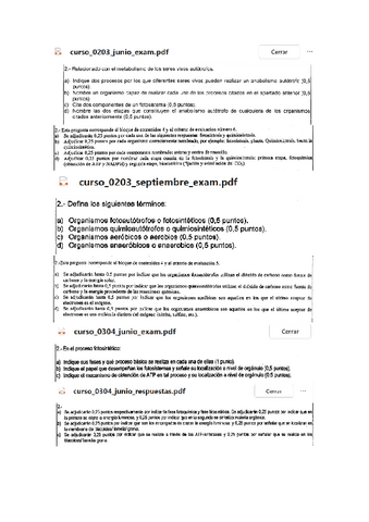 Actividades-T13.pdf