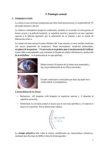 5.-Patologia-de-la-cornea.pdf