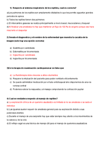 EXAMEN-MODULO-1-con-respuestas.pdf