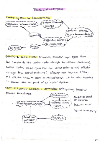 units-2-4-summary.pdf