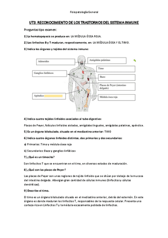 Preguntas tipo examen UD3.pdf