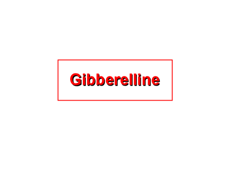 Gibberelline.pdf