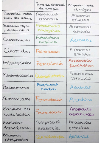 Tabla-bacterias-pregunta-examen.pdf