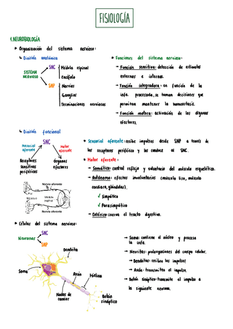 apuntes-tema-1-2-y-3.pdf