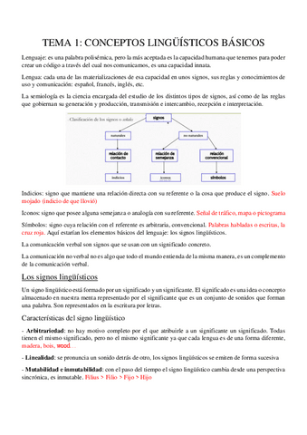 TEMA-1-CONCEPTOS-LINGUISTICOS-BASICOS.pdf