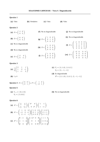 AlgebraEjerciciosTema-4soluciones.pdf