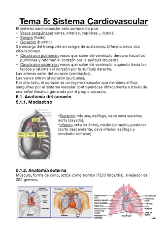 Estructura-y-Funcion-del-Cuerpo-Humano-II-Tema-5.pdf