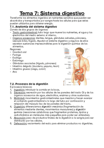 Estructura-y-Funcion-del-Cuerpo-Humano-II-Tema-7.pdf