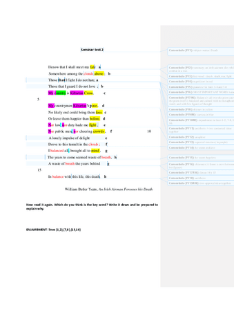 Seminar-Text-2An-Irish-Airman-1-1.pdf
