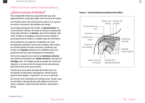 Folleto-informativo-hombro-doloroso-pg-6-7.pdf