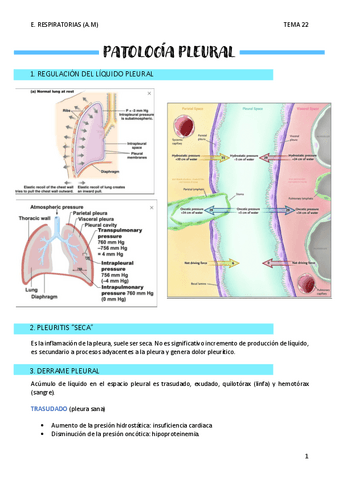 PATOLOGIA-PLEURAL-T22.pdf