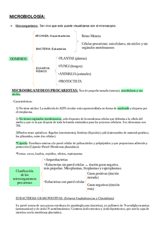 microbiologia.pdf