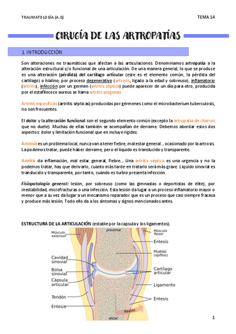 CIRUGIA-DE-LAS-ARTROPATIAS-T14.pdf