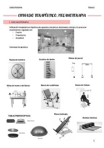GIMNASIO-TERAPEUTICO-T8.pdf