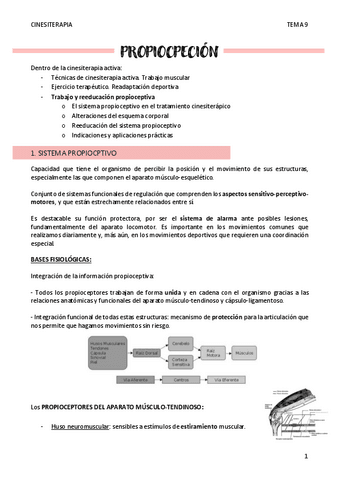 PROPIOCPECION-T9.pdf