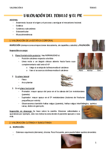VALORACION-DEL-TOBILLO-Y-EL-PIE.pdf