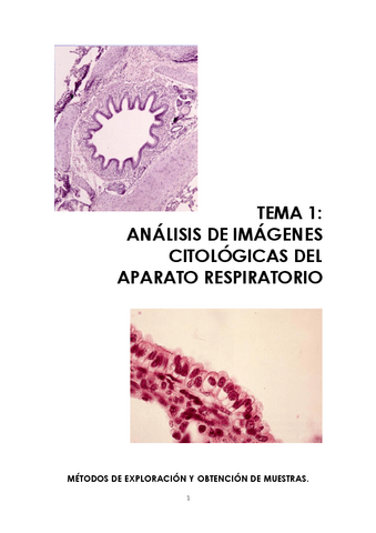 TEMA-1-APARATO-RESPIRATORIO.pdf