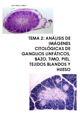tema-2-ganglios-y-timo.pdf