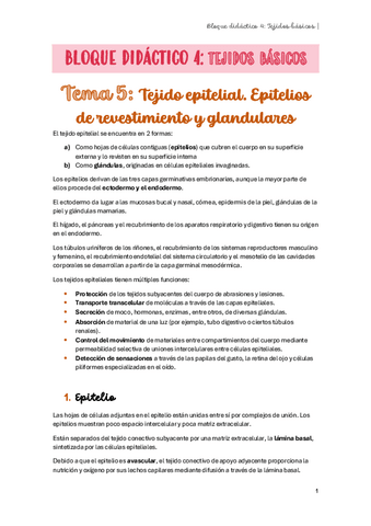 BLOQUE-4.-TEJIDOS-BASICOS.pdf