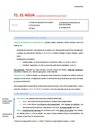 Apuntes-bioquimica--1oMED.pdf