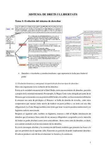Apuntes-Sistema-de-Derechos-y-Libertades.pdf