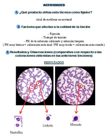 TINCION-MAY-GRUNDWALD-GIEMSA.pdf