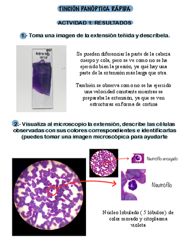 Tincion-Panoptica-Rapida.pdf