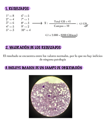 RECUENTO-DE-LEUCOCITOS-EN-UN-FROTIS.pdf