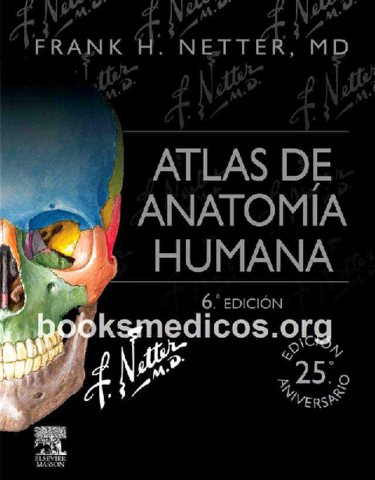 Netter Frank H - Netter Atlas De Anatomia Humana (6ed).compressed.pdf