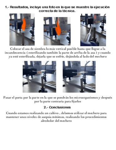 Esterilizacion-Asa-De-Siembre-Y-Porta.pdf