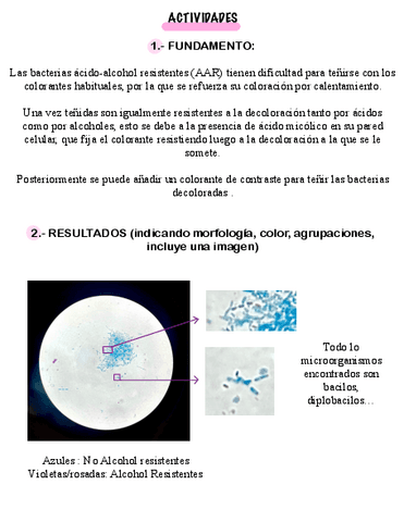 PRACTICA-6-TINCION-ZIEHL-NEELSEN.pdf