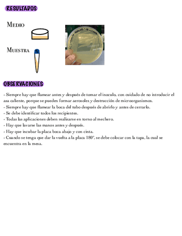 SIEMBRA-POR-AGOTAMIENTO-DE-ASA-EN-ZIGZAG.pdf