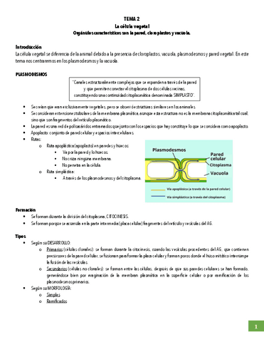 Apuntes-Fisiologia-Vegetal-I.pdf