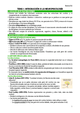 Apuntes-Neuropsicologia.pdf