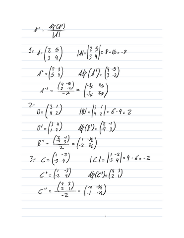 3.2.-Matriz-Inversa-Solucion.pdf