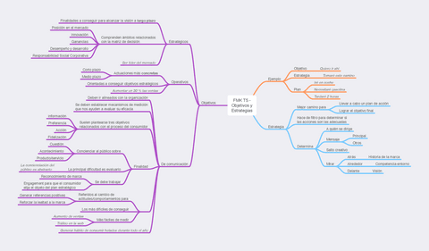 FMK-T5-Objetivos-y-Estrategias.pdf