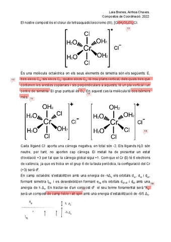 TreballCOCCorregit.pdf