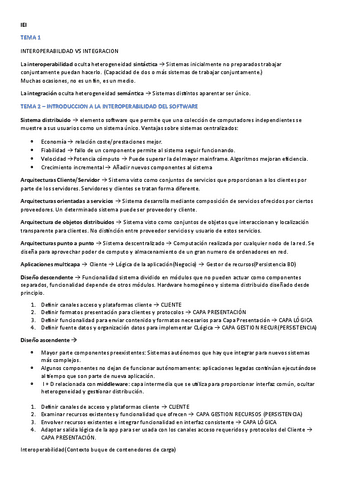 ResumenIEI.pdf