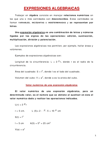 Expresiones-algebraicas.pdf