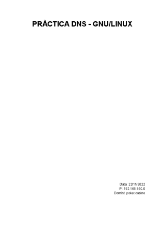 Pratica-DNS-Linux.pdf