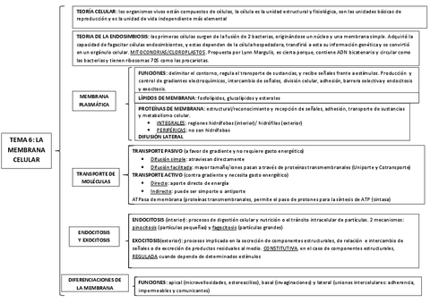 TEMA-6-ESQUEMA.pdf