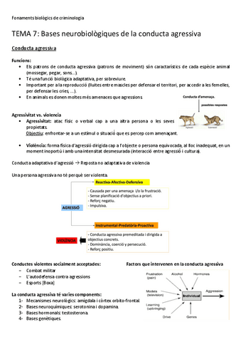 TEMA-7-Bases-neurobiologiques-de-la-conducta-agressiva.pdf