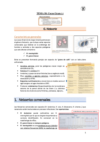 T10Cocos-Gram--.pdf
