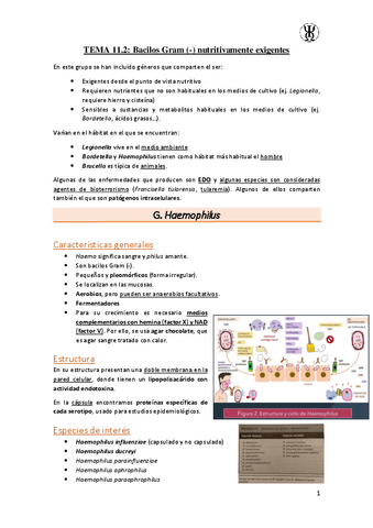 T11.2Bacilos-Gram---nutritivamente-exigentes.pdf